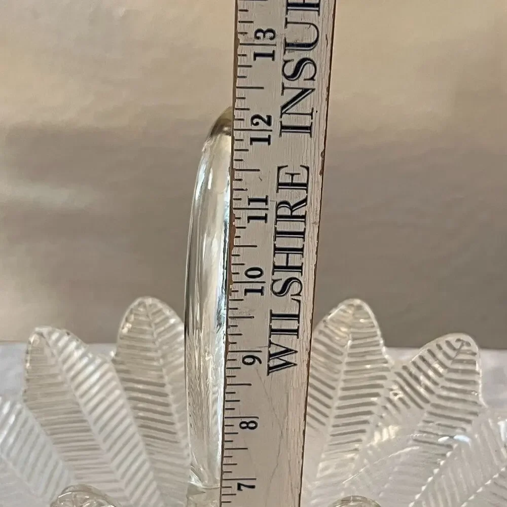 Clear Glass Fern Feather Ribbed Basket 14